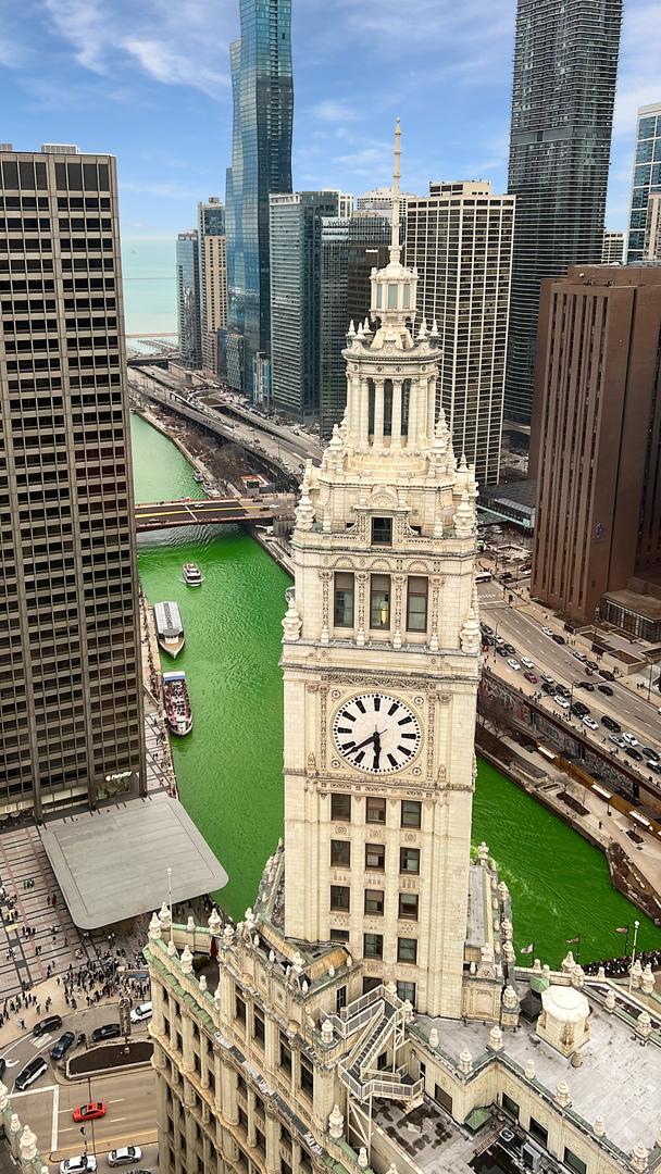 405 N Wabash Ave Unit 4308, Chicago, IL 60611 - city view with a nearby body of water and a notable bridge