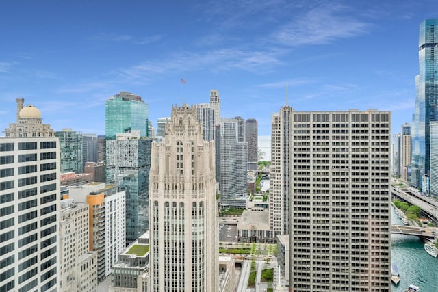 405 N Wabash Ave Unit 4308, Chicago, IL 60611 - skyline view with a large body of water