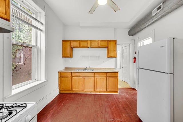 9035 S Burley Ave, Chicago, IL 60617 - kitchen with freestanding refrigerator, healthy amount of natural light, and dark wood finished floors