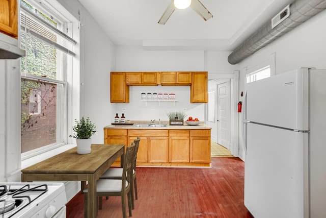 9035 S Burley Ave, Chicago, IL 60617 - kitchen with white appliances, light countertops, dark wood-style flooring, and ceiling fan