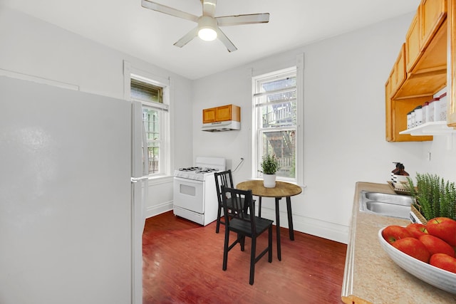 9035 S Burley Ave, Chicago, IL 60617 - dining room featuring dark wood-type flooring, healthy amount of natural light, and ceiling fan