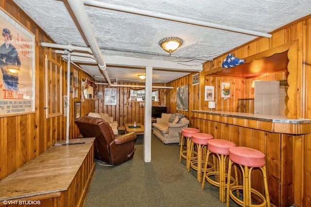 10716 S Hoyne Ave, Chicago, IL 60643 - indoor dry bar with carpet and wooden walls
