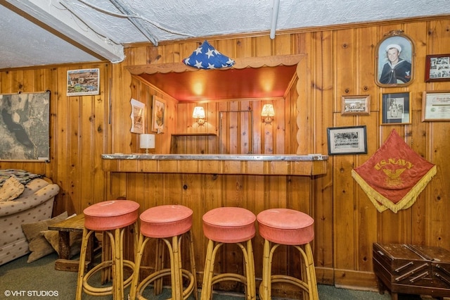 10716 S Hoyne Ave, Chicago, IL 60643 - bar featuring carpet floors, wooden walls, and a textured ceiling