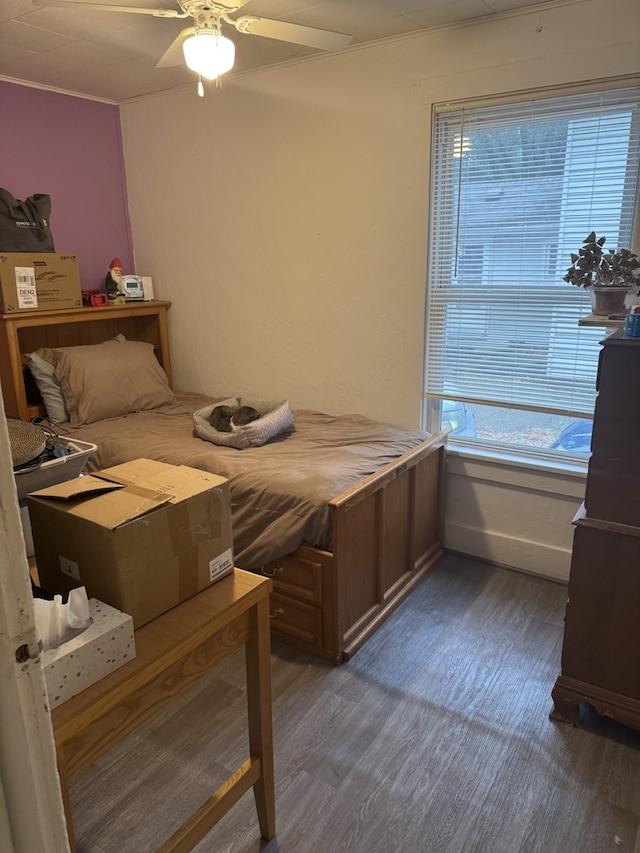 bedroom featuring wood finished floors, multiple windows, and a ceiling fan