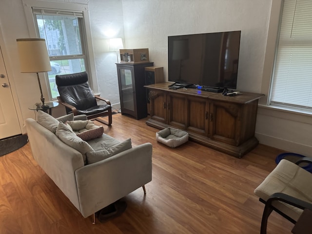 living area with wood finished floors