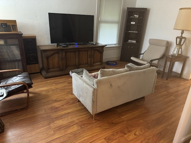 living room featuring wood finished floors and baseboards