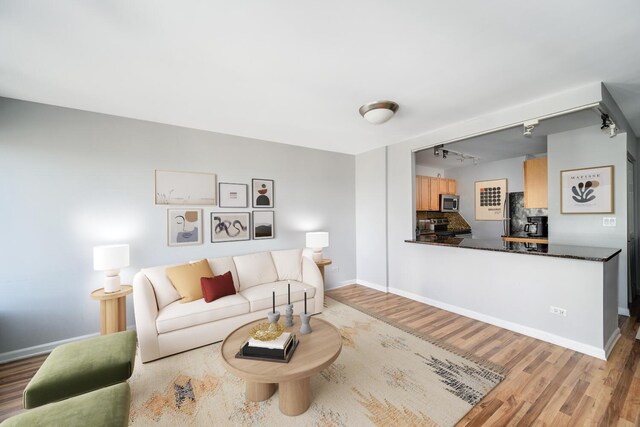 30 E Huron St Unit 4108, Chicago, IL 60611 - living room with track lighting, wood finished floors, and baseboards