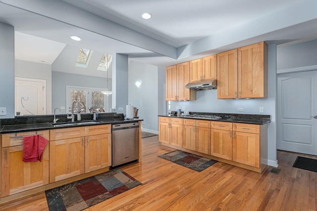 876 Hampstead Ct, Barrington, IL 60010 - kitchen with stainless steel appliances, a sink, a skylight, light wood-style flooring, and under cabinet range hood