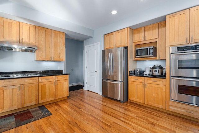 876 Hampstead Ct, Barrington, IL 60010 - kitchen featuring appliances with stainless steel finishes, under cabinet range hood, light wood-type flooring, and recessed lighting