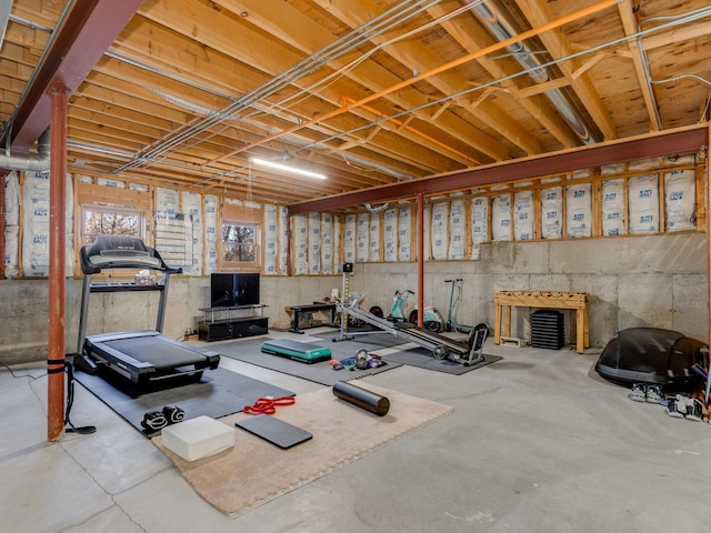 876 Hampstead Ct, Barrington, IL 60010 - view of workout room