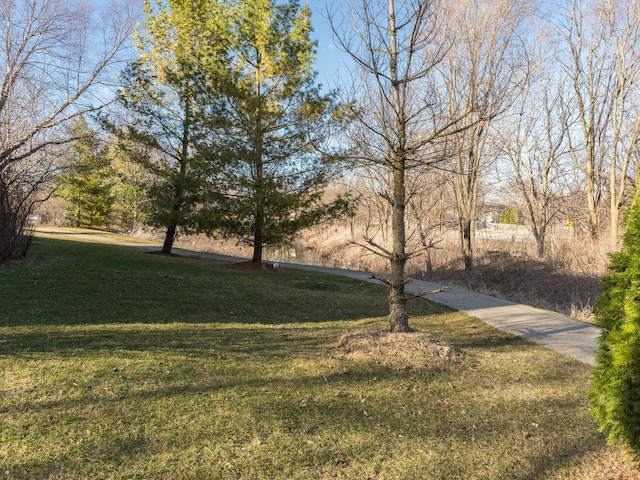 876 Hampstead Ct, Barrington, IL 60010 - view of green lawn