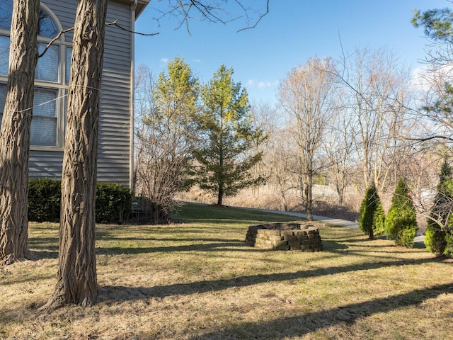 876 Hampstead Ct, Barrington, IL 60010 - view of grassy yard