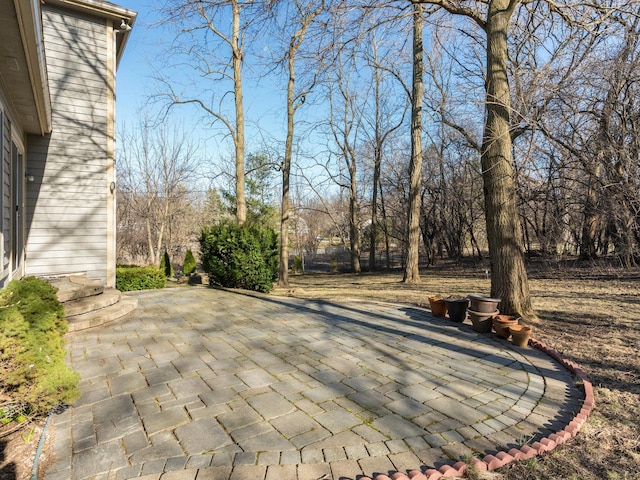 876 Hampstead Ct, Barrington, IL 60010 - view of patio