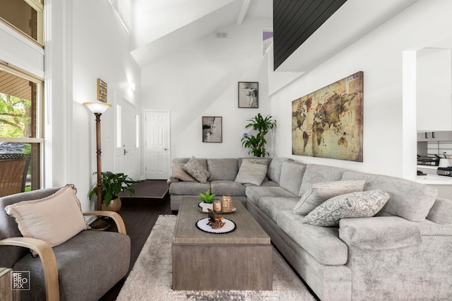 9352 Sunrise Ln Unit B1, Orland Park, IL 60462 - living room featuring wood finished floors, high vaulted ceiling, and beamed ceiling