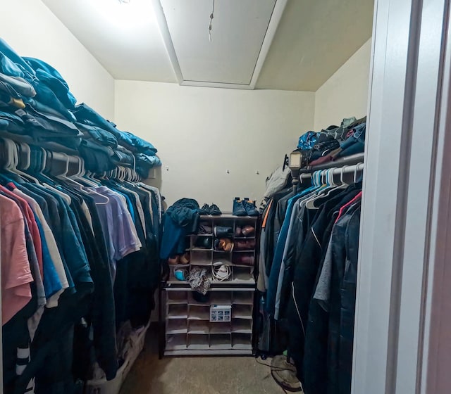 9352 Sunrise Ln Unit B1, Orland Park, IL 60462 - view of spacious closet