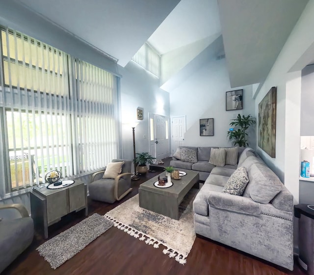 9352 Sunrise Ln Unit B1, Orland Park, IL 60462 - living area featuring wood finished floors and a high ceiling
