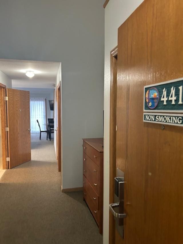 111 Center St Unit 441, Lake Geneva, WI 53147 - hallway featuring carpet flooring and baseboards