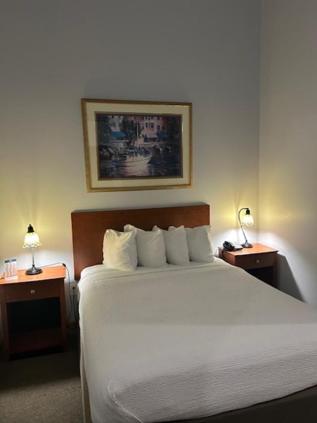 111 Center St Unit 441, Lake Geneva, WI 53147 - bedroom featuring carpet floors