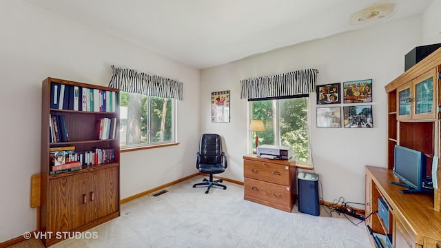 1031 S Wellington Rd, Waukegan, IL 60085 - carpeted office space with healthy amount of natural light and baseboards