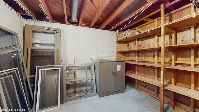 7421 N Crossway Rd, Fox Point, WI 53217 - view of storage