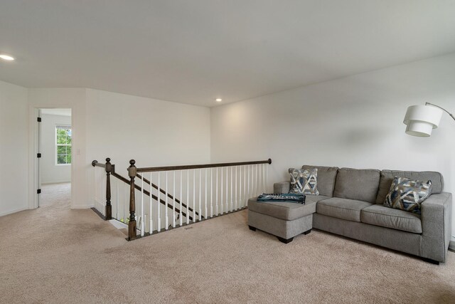15124 Emerson St, Plainfield, IL 60544 - photo 13