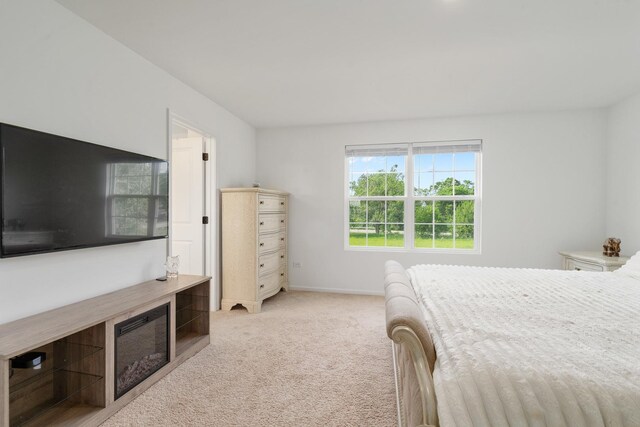 15124 Emerson St, Plainfield, IL 60544 - photo 19