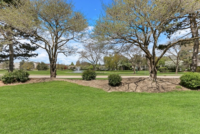 1328 Sunrise Ln, Gurnee, IL 60031 - view of grassy yard
