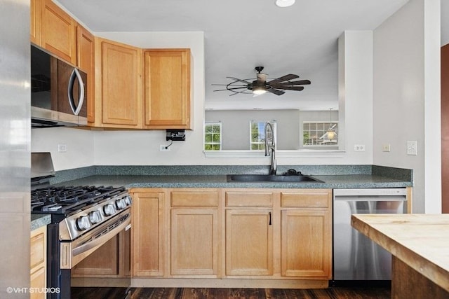 897 Clover Ln, Pingree Grove, IL 60140 - kitchen with appliances with stainless steel finishes, a sink, a ceiling fan, dark countertops, and dark wood finished floors