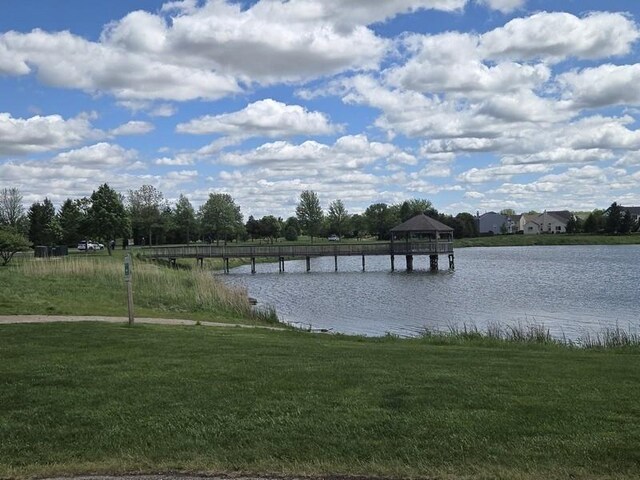 897 Clover Ln, Pingree Grove, IL 60140 - view of property's community with a yard and a water view