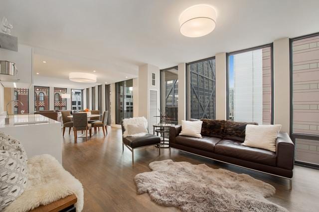 200 E Delaware Pl Unit 18F, Chicago, IL 60611 - living room featuring wood finished floors and floor to ceiling windows