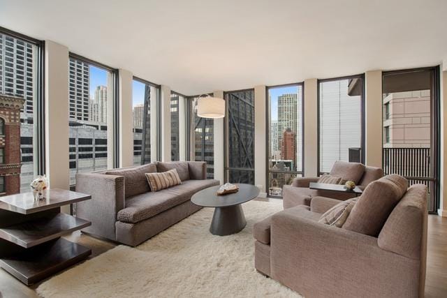 200 E Delaware Pl Unit 18F, Chicago, IL 60611 - living area featuring expansive windows, a view of city, and wood finished floors