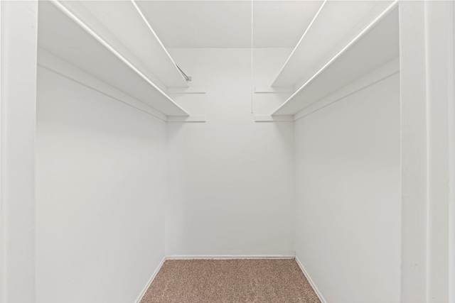 2S644 Devonshire Ln, Glen Ellyn, IL 60137 - spacious closet featuring carpet floors