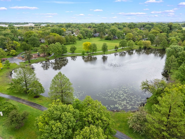 2S644 Devonshire Ln, Glen Ellyn, IL 60137 - drone / aerial view of a nearby body of water