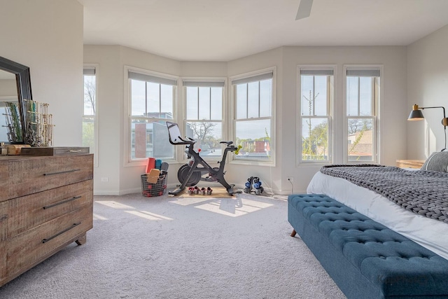 2044 W Roscoe St Unit 2S, Chicago, IL 60618 - bedroom with carpet floors, baseboards, and multiple windows