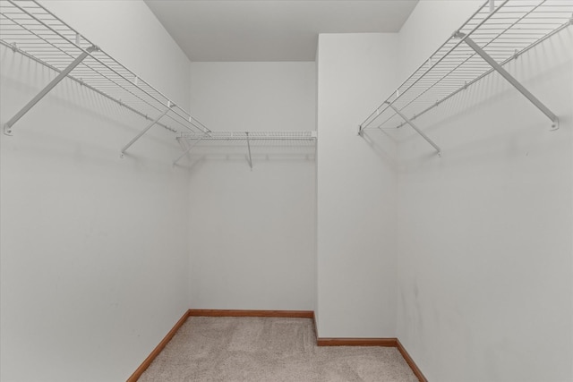 1129 S Wabena Ave, Minooka, IL 60447 - walk in closet featuring light carpet