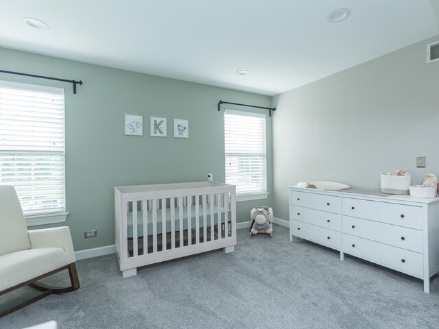 879 Oak Ridge Blvd, Elgin, IL 60120 - photo 21