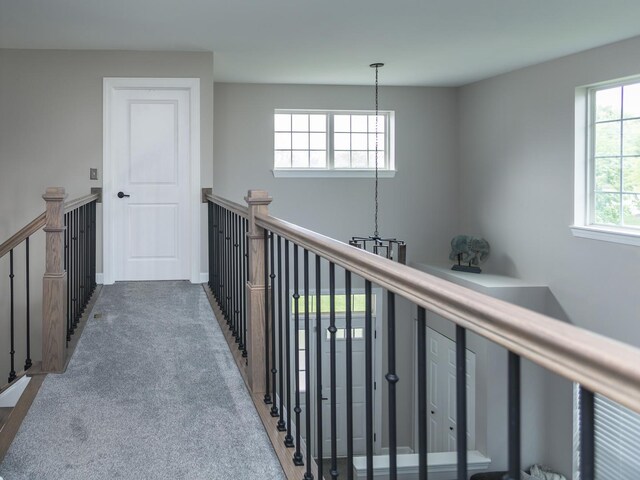 879 Oak Ridge Blvd, Elgin, IL 60120 - photo 27