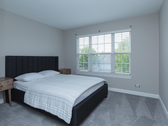 879 Oak Ridge Blvd, Elgin, IL 60120 - photo 28