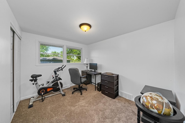 341 Cardinal Ln, Lake Holiday, IL 60552 - office area with carpet and baseboards