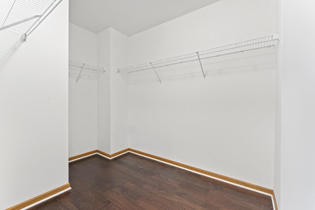 3816 Stockton Dr, Joliet, IL 60436 - walk in closet featuring wood finished floors