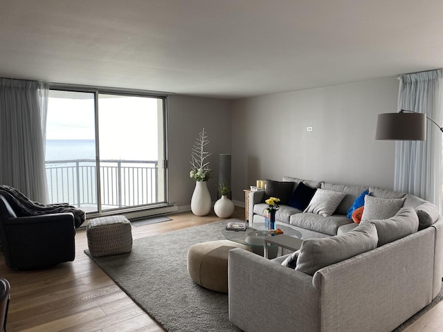 6007 N Sheridan Rd Unit 31A, Chicago, IL 60660 - living area featuring wood finished floors and a baseboard heating unit