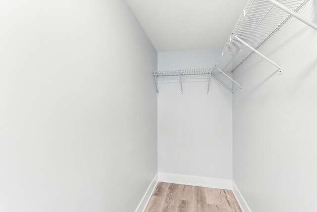 337 W 106th Pl, Chicago, IL 60628 - walk in closet with light wood-type flooring