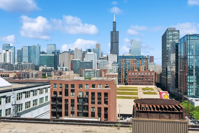 1224 W Van Buren Ave Unit 416, Chicago, IL 60607 - skyline view