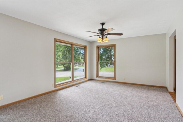 717 S Kennedy St, Shannon, IL 61078 - spare room featuring plenty of natural light, light colored carpet, and baseboards