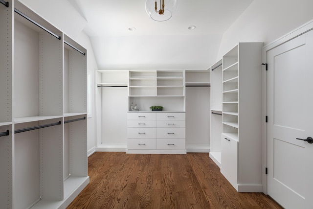 706 S Loomis St, Naperville, IL 60540 - spacious closet with dark wood-style flooring