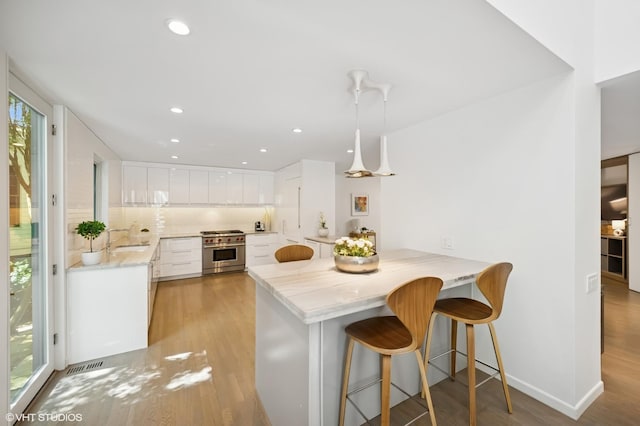 938 Old Green Bay Rd, Winnetka, IL 60093 - kitchen with stainless steel stove, a peninsula, light wood-style floors, a sink, and white cabinetry
