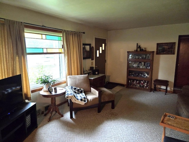 405 W Randolph St, Heyworth, IL 61745 - living area featuring light colored carpet