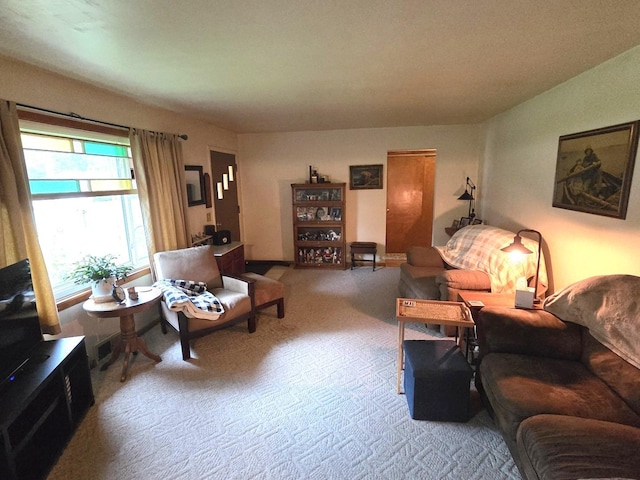 405 W Randolph St, Heyworth, IL 61745 - living area featuring carpet