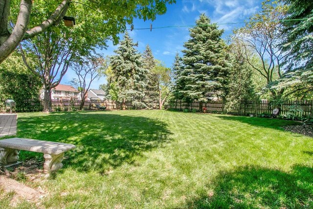 2551 Doncaster Dr, Aurora, IL 60504 - view of yard
