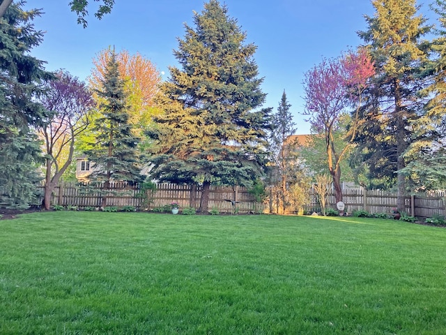 2551 Doncaster Dr, Aurora, IL 60504 - view of yard